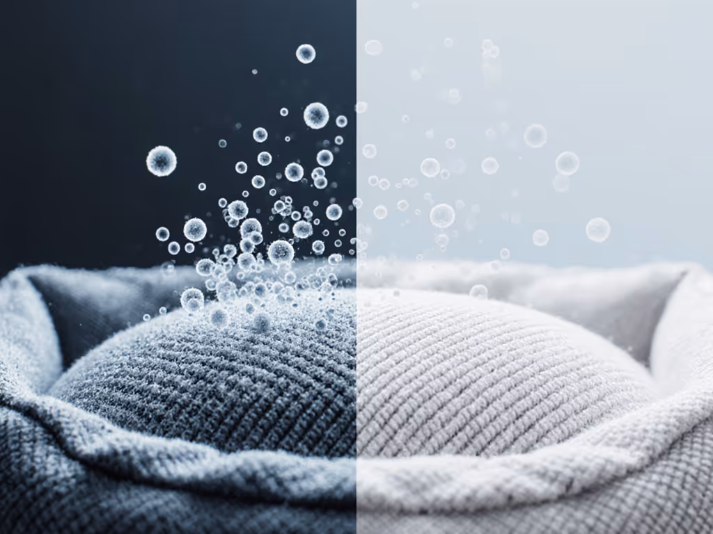 allergen_accumulation_in_dog_beds