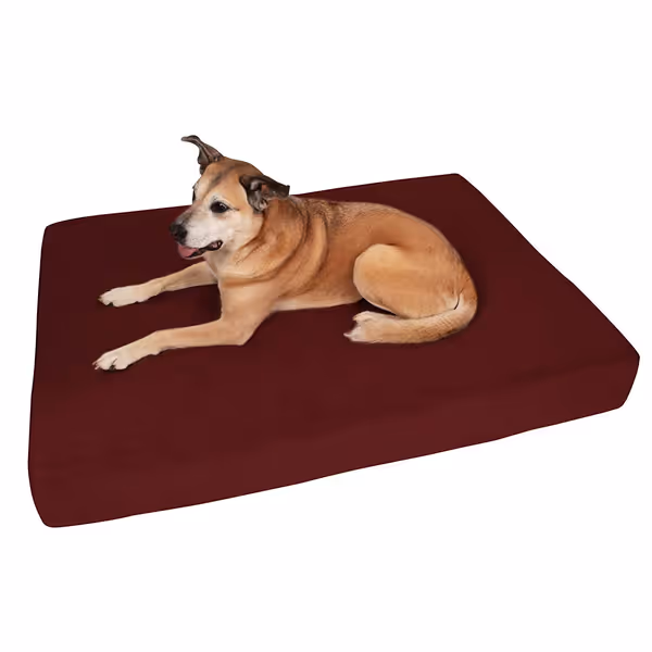 Barker Beds XL Orthopedic Dog Bed