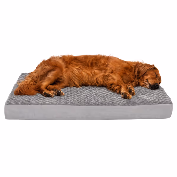 Furhaven Orthopedic Dog Bed