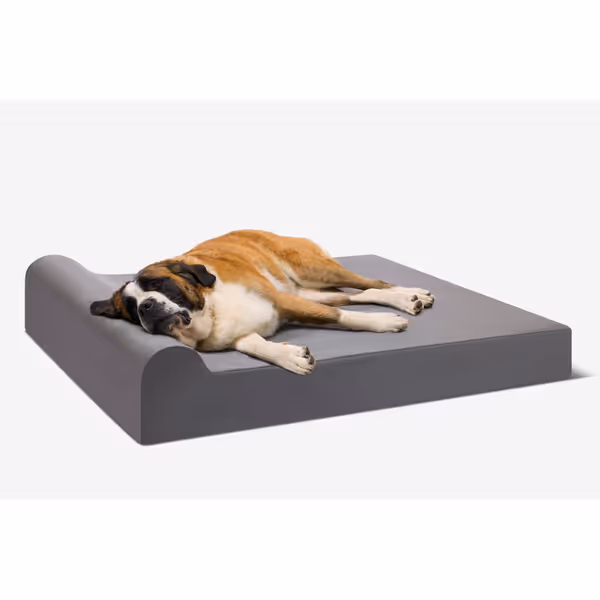 Barker Beds Giant Orthopedic Dog Bed