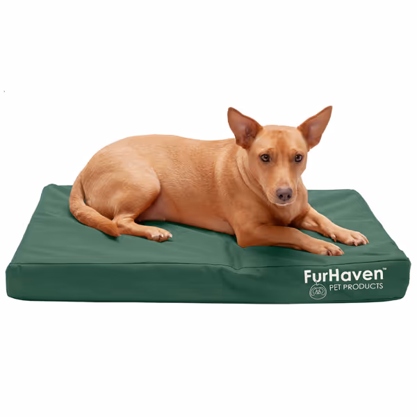 Furhaven Indoor/Outdoor Orthopedic Dog Bed