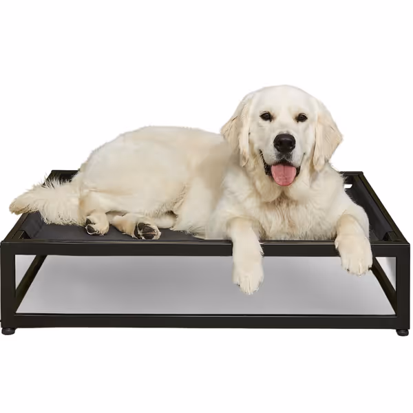 FUZI Luxury Up Pup Elevated Dog Bed