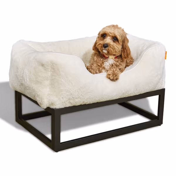 FUZI Elevated Dog Bed Small